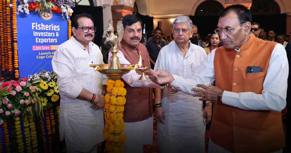 mp-cm-23-10-26-55